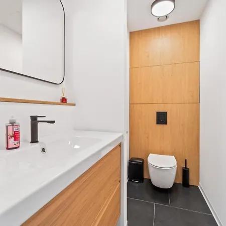 Appartamento Karlin Diamond View & Garage Praga